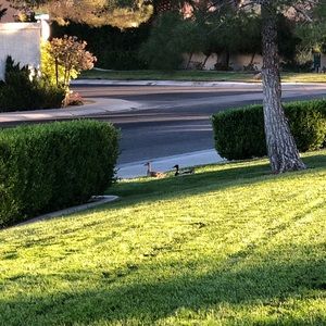 Meet your Posher, Paveena